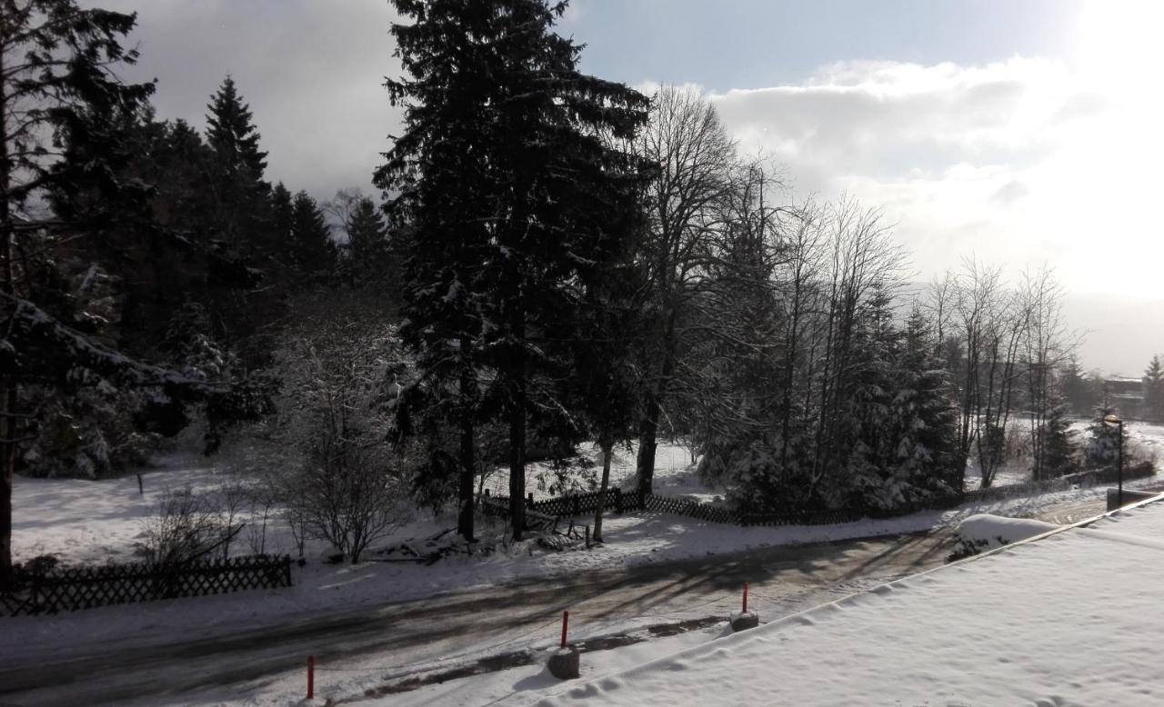 Fichtenweg 54 Winterberg Ngoại thất bức ảnh