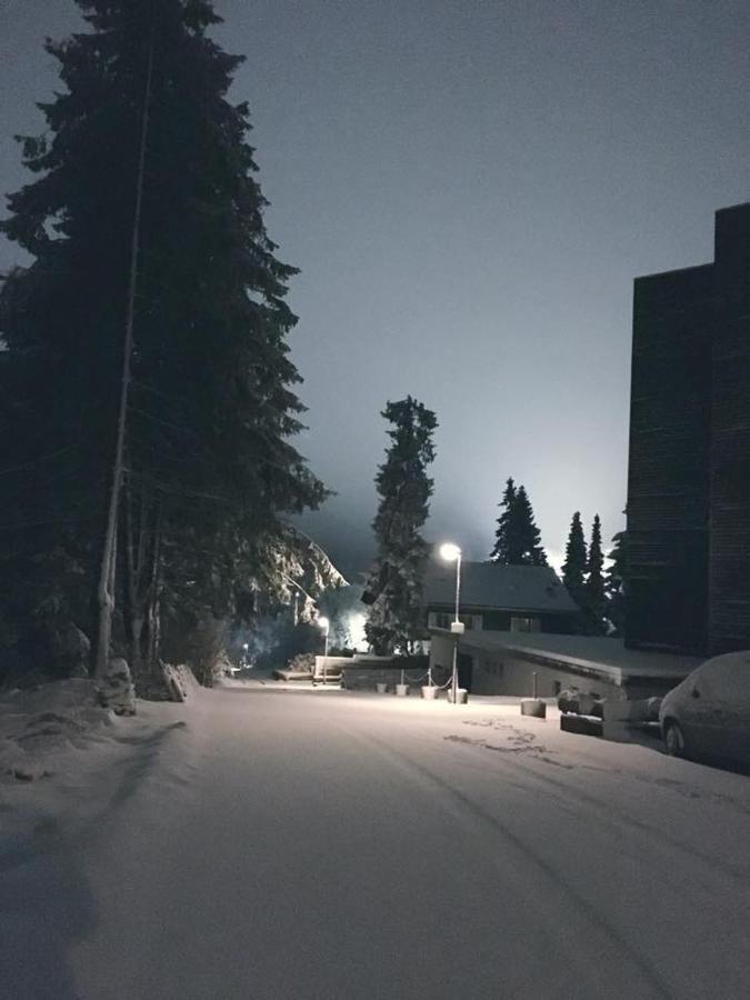Fichtenweg 54 Winterberg Ngoại thất bức ảnh